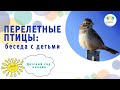 про перелетных птиц