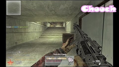 4 Assault Rifles from Other Video Games in MW2/IW4x