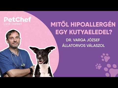 Videó: Alaszkai Klee Kai Kutyafajta Hipoallergén, Az Egészség és Az élet Időtartama