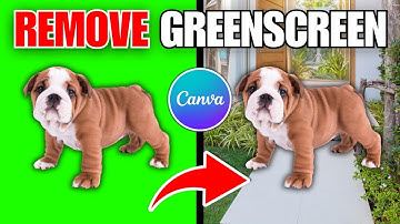 How To Remove Green Screen From Video in Canva