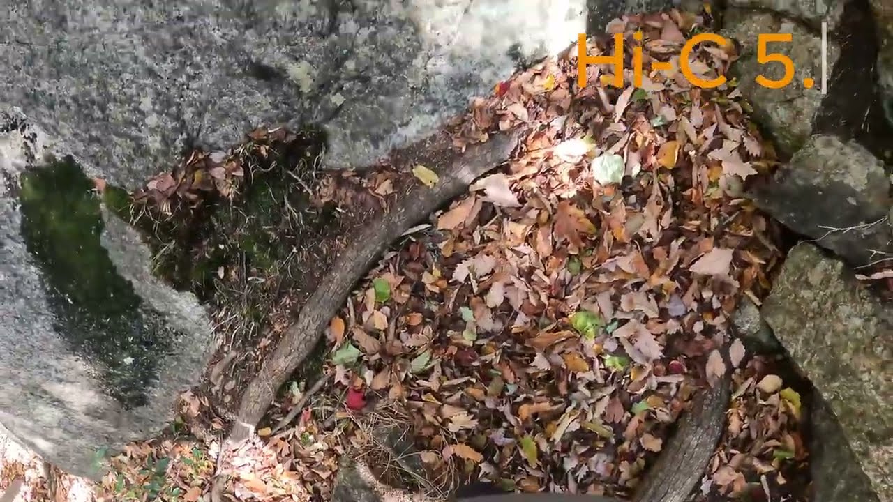 Hi-C 5.8 : Beta Video