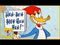 Woody Woodpecker Show | Pinheads | 1 Hour Compilation | Videos For Kids