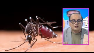 Especialista alerta sobre el mosquito Aedes aegypti y cómo prevenir dengue, chikungunya y zika