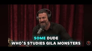 Andrew Huberman discusses GLP1 on Joe Rogan #1958