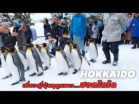เที่ยวอาซาฮิคาว่า - ฮอกไกโด ( Japan | Asahikawa )