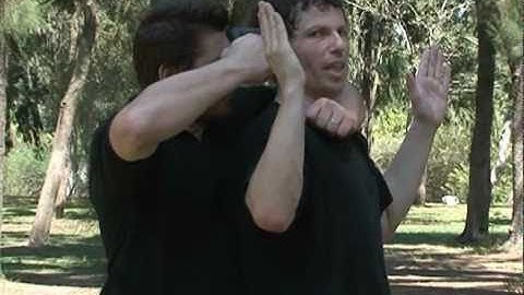 jeet kune do---gun disarm in a hostage situation