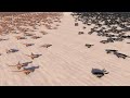 4.000 VELOCIRAPTORS vs 20.000 WOLVES | Ultimate Epic Battle Simulator