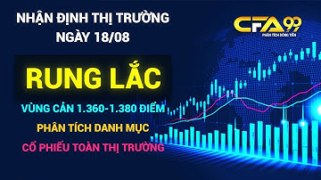 Nhận Định Chứng Khoán Ngày 18/8: Vnindex Rung Lắc Vùng Cản, Phân Tích Danh Mục Cổ Phiếu Thị Trường
