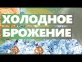 Технологии пекарни. Преимущества длительного холодного брожения хлеба.