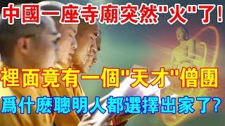 中國一座寺廟突然“火”了！寺中僧人各個是“天才”！為什麼聰明人都選擇皈依佛門？