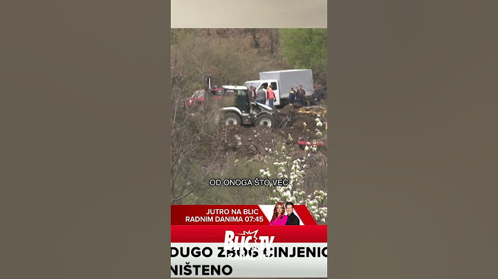 Božidar Spasić: Majka Danke Ilić ipak primetila osumnjičene neposredno pre ili nakon izvršenja dela?