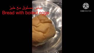 وجبة الدرة بروتين وكالسيوم Parrots Egg food screenshot 2