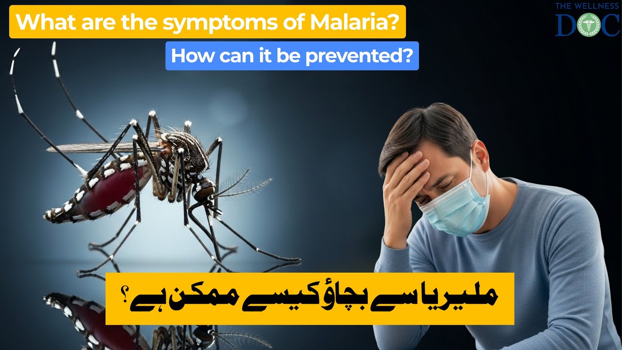 Malaria Symptoms, Treatment & Prevention | ملیریا کی علامات، علاج اور بچاؤ