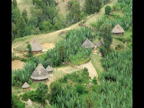 ፍቅር እስከ መቃብር ክፍል 20 Fikir Eske Mekabir Chapter 20