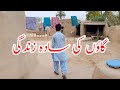 Daily Village Lifestyle In Punjab | Rural Life In Pakistan