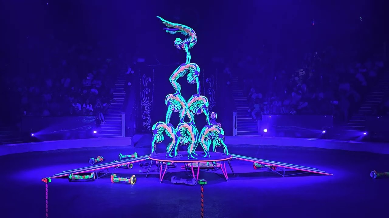 X ROSES CONTORTION CENTRE 