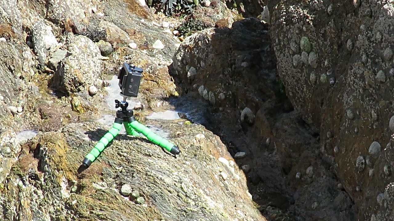 Limpet Racing Timelapse 20200710