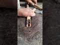 bow drill the traditional art of starting a fire #primitivefire #traditionalfire #selfsufficiensy