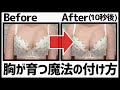 【神回】正しいブラの測り方・付け方・盛り方・育て方（みんなで作るナイトブラの進捗も）【バストアップ】