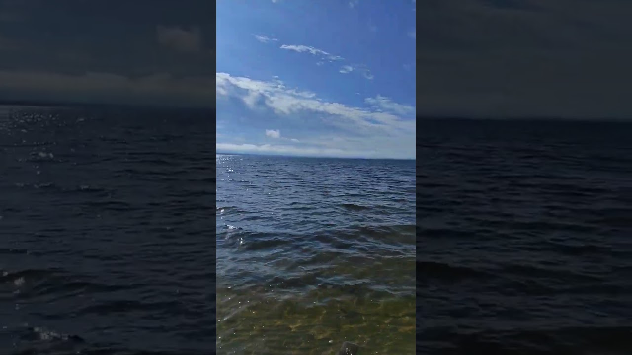 Лёкшмозеро в июле. Кенозерский национальный парк. Каргопольский сектор.