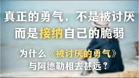 一集看懂中国流行心理学的致命缺陷｜为什么《被讨厌的勇气》与阿德勒相去甚远？｜真正的勇气，不是被讨厌，而是接纳自己的脆弱｜心理学｜阿德勒｜成长｜启蒙｜哲学｜精神分析｜