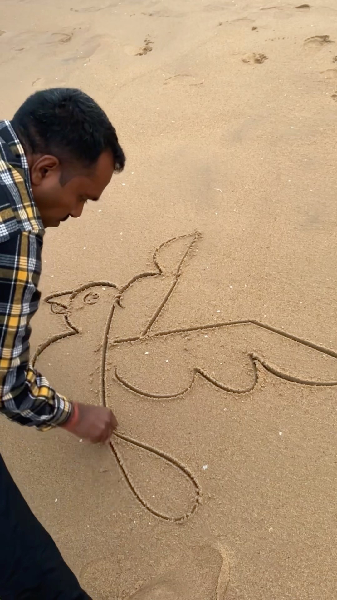 Draw a bird using Y #art #shorts