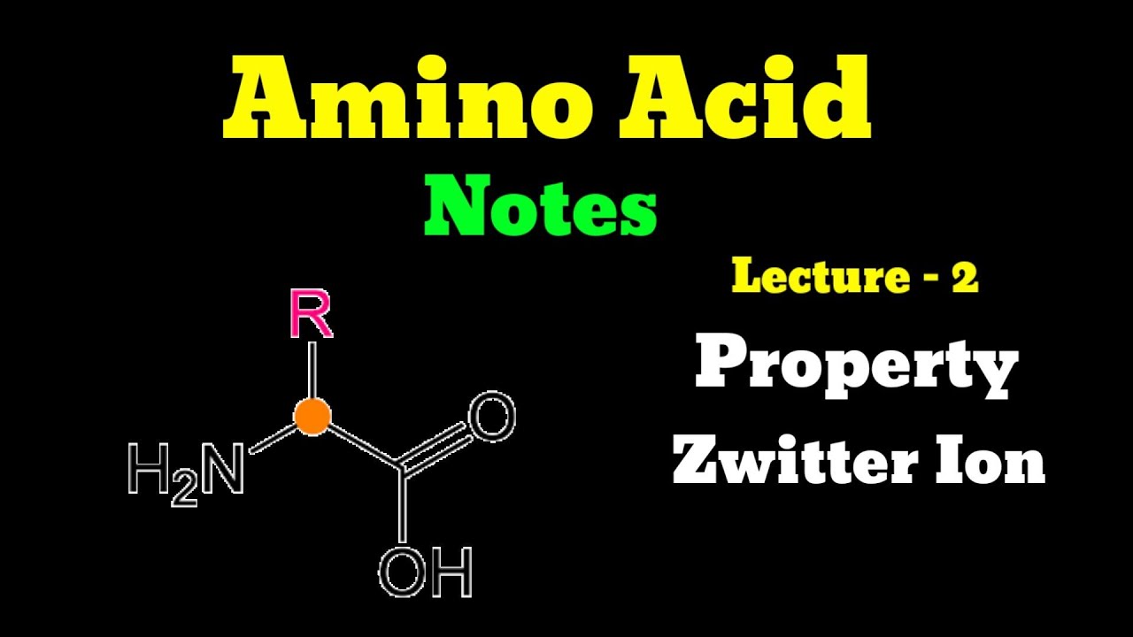 physical properties of amino acids(ampholytes,zwitterion,isoelectric ph