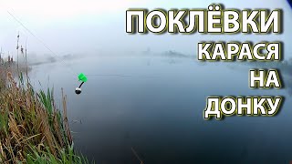 Поклёвки карася на донку. Рыбалка карась 2020. Весна 14 мая.