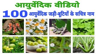 100 आयुर्वेदिक जड़ी-बूटियों के सचित्र नाम || Ayurvedic Herbs Names with Pictures || Jadi Buti screenshot 1