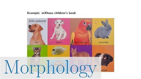 Morphology (NLP817 2.4)