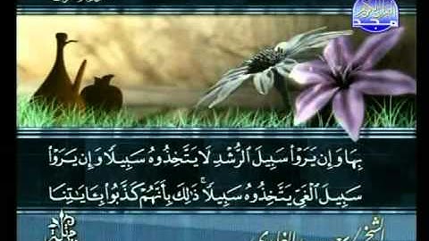 المصحف المرتل للقارئ الشيخ سعد الغامدي | الجزء ( 9 )