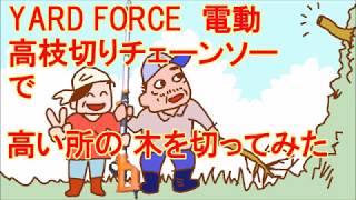 YARD FORCE 高枝切り電動チェーンソーで、高い所の木を切ってみた　　ジジとババのシロウト山暮らし