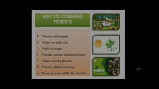 Environmental laws and regulations in India | Easy 