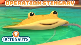 Octonauts - Operation Stingray 🛟⚡ | Compilation