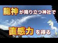 【三嶋大社】龍神🐉が降り立つ神社で未来を切り開く直感力を得る✨
