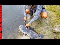 FISH Could NOT be SAVED! **What we FOUND INSIDE**