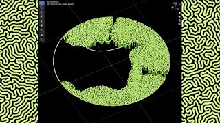 Geometry Nodes Differential Growth Simulation Tutorial