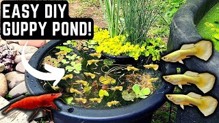 HOW TO BUILD AN EASY DIY GUPPY POND! (STEP BY STEP TUTORIAL) by Sydney's Angels and Bennett's Rainbows 298,609 views 11 months ago 9 minutes, 2 seconds