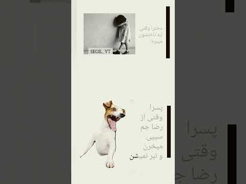 فرق دقدقه پسرا با دخترا   