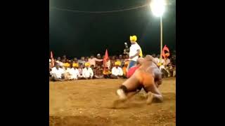 Best Wrestling Moves | Ajeet Patil Best Wrestling Moves | Ajeet Patil