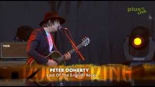 Pete Doherty LIVE @ Rock am Ring 2012