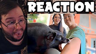 * REDIRECT* UNUSUAL MEMES COMPILATION V268 by UnusualVideos REACTION