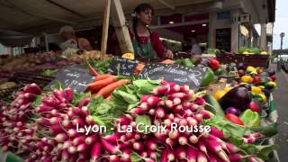 Watch Food Markets: In the Belly of the City Trailer