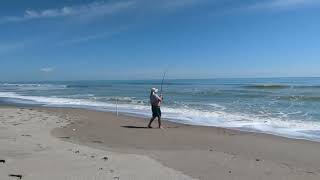 A beach fisherman catches a fish I've never seen before! What kind of fish do you think it is?