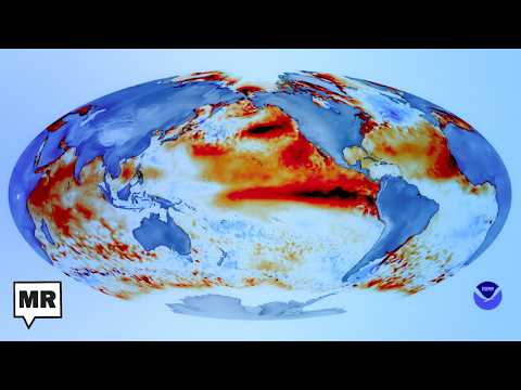 What Oil Shortages & Super El Niño Could Bring