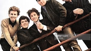 Watch Hollies Rain On The Window video