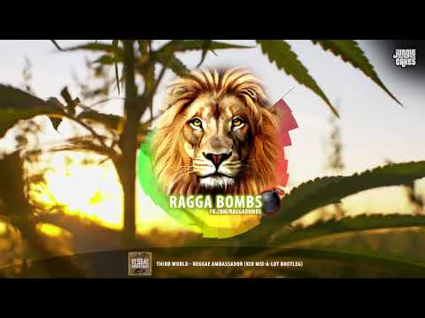 Third World - Reggae Ambassador (Kid Mix-A-Lot Bootleg)