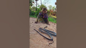 Where Are You From ? SokYaa Meet Snake Alone #shorts