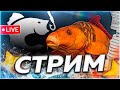 ☀️ ЯНТАРНОЕ 🌻 БЕЛУГА НЕ ИДЁТ, ЗАТО ИДУТ КАРПЫ  🎁 Рулетка & Розыгрыши 🎄 СТРИМ Русская Рыбалка 4 РР4