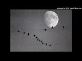 Советские песни - Летят Перелетные Птицы 1948